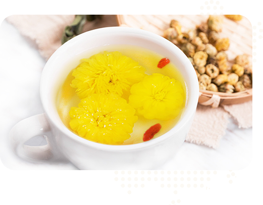 始建于2015年，實(shí)力雄厚