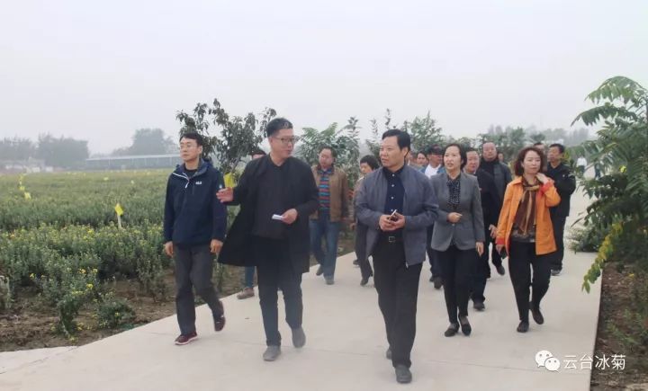 云臺冰菊基地發(fā)生了什么？一批批領(lǐng)導(dǎo)專家團隊前來！
