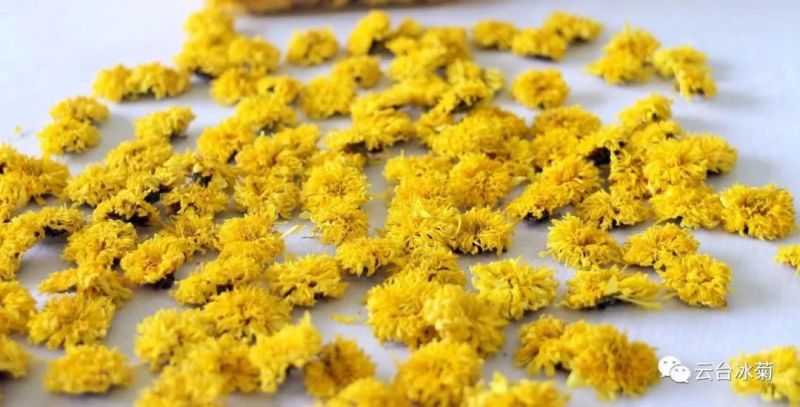 2018，種下希望，靜待花開！